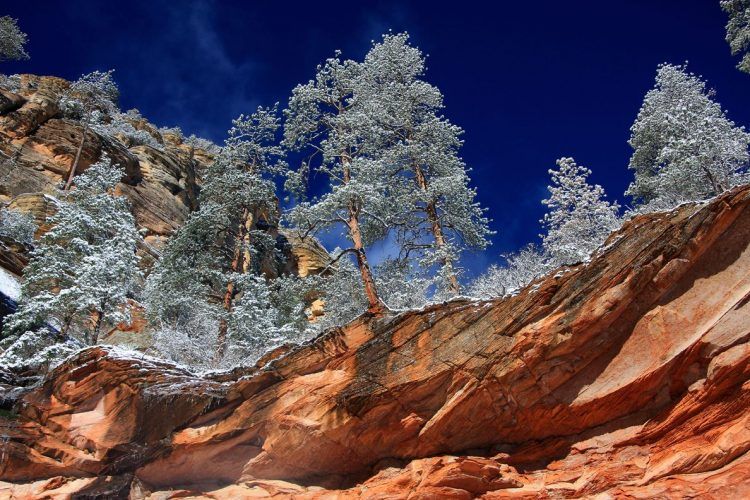 Oak Creek Canyon