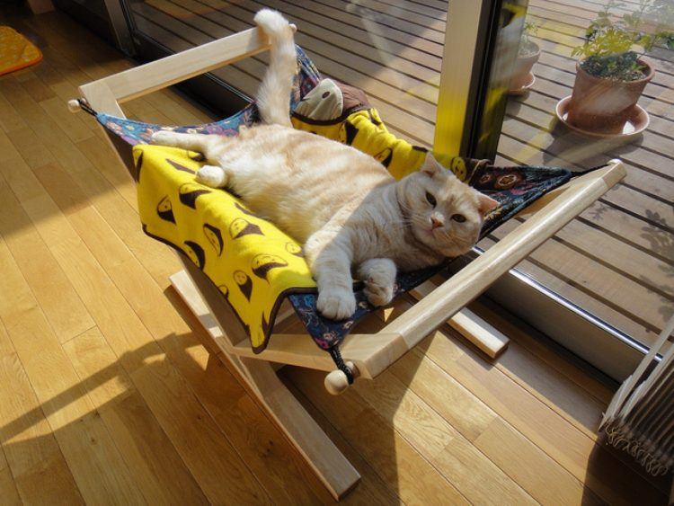 cat bed furniture hammock