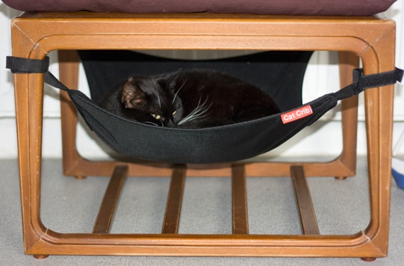 black cat crib under chair