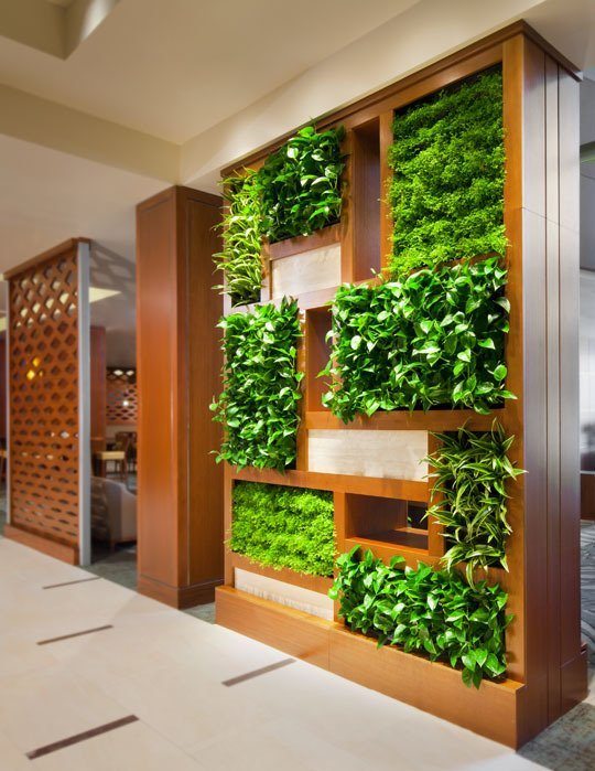 box garden wall ideas