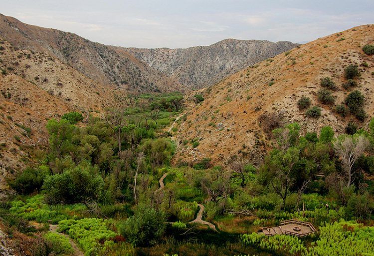 Big Morongo Canyon Preserve