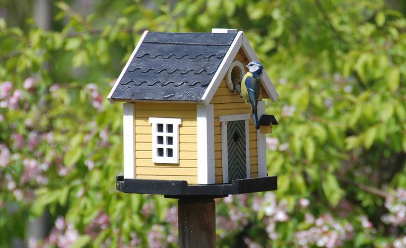 How To Build A Simple And Fun Birdhouse