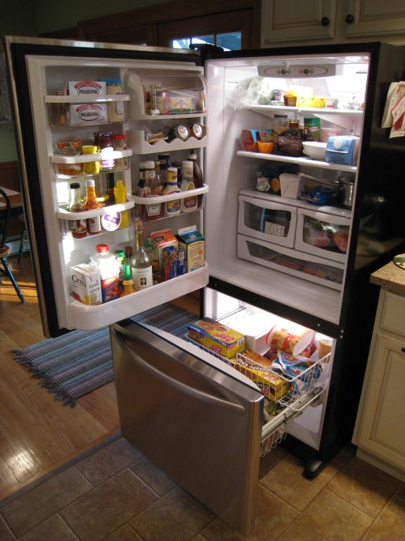 Bottom Freezer Refrigerator