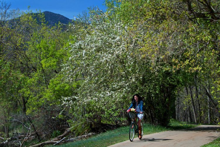 Boulder Creek Path