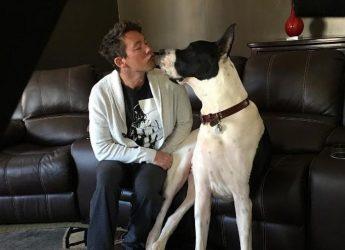 20 Things You Didn't Know about David Bromstad