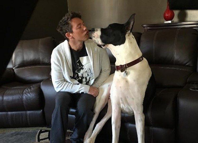 20 Things You Didn't Know About David Bromstad