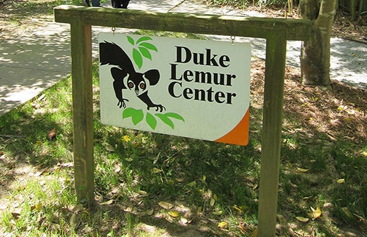 Duke Lemur Center