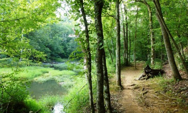 Eno River State Park