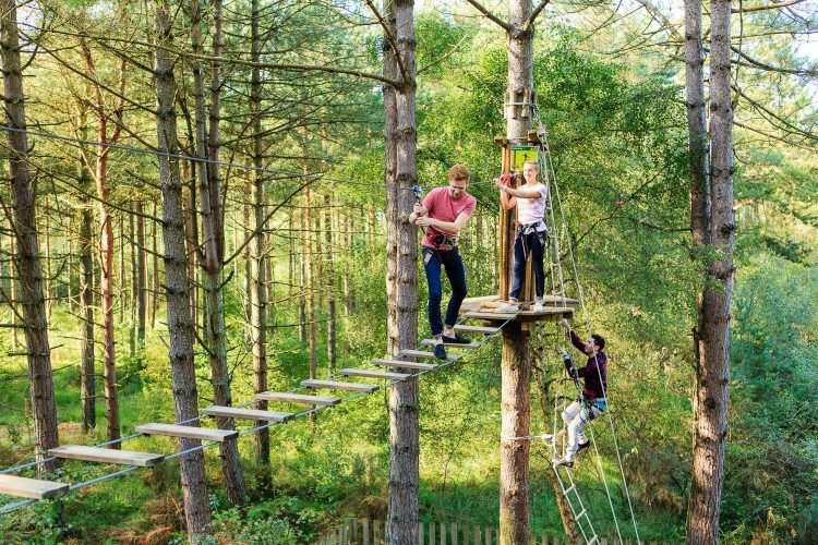 Go Ape Treetop Adventure