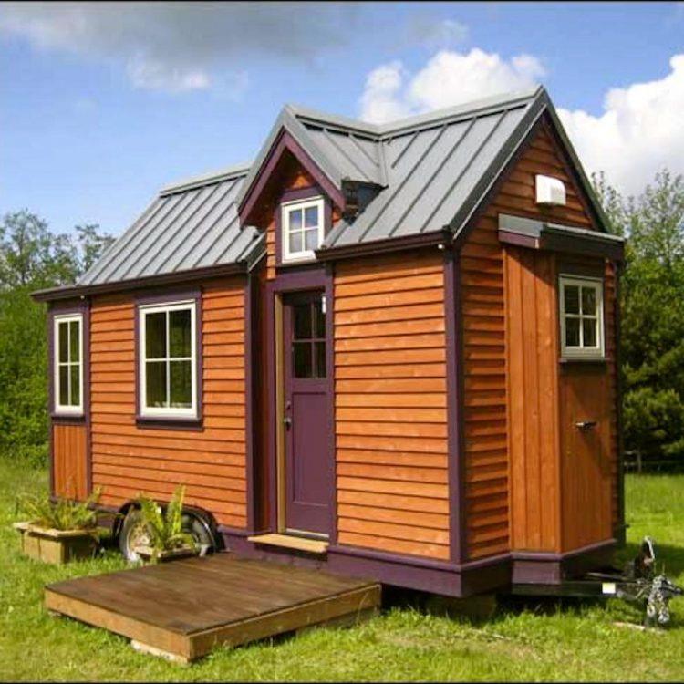 purple and brown tiny house