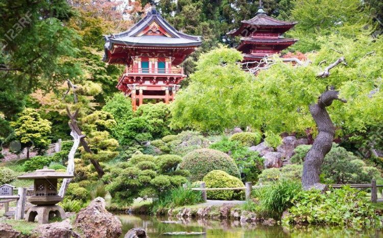 Japanese Tea Garden at Golden Gate Park