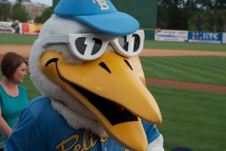 Myrtle Beach Pelicans