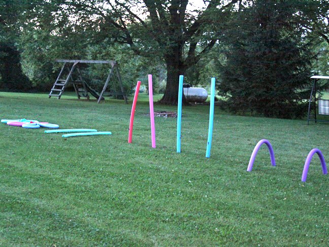 Swim Noodle Obstacle Course