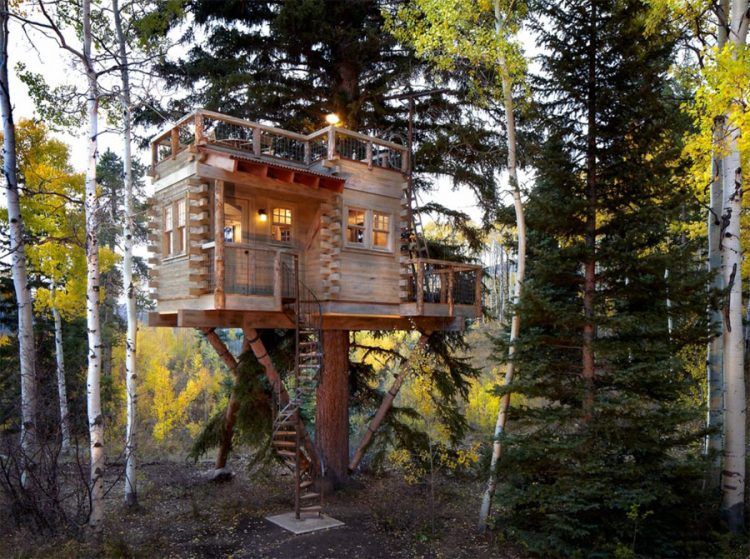 whimsical tiny home in tree