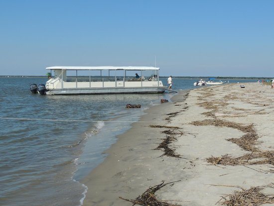 barrier-islands-eco-tours