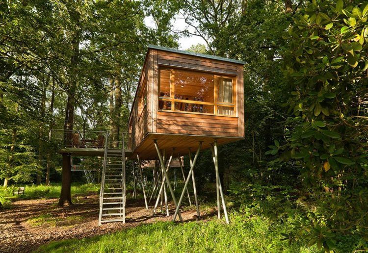 tiny house with balcony on stilts