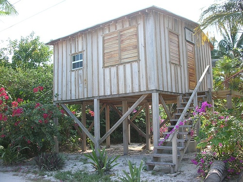 simple small house made of wood