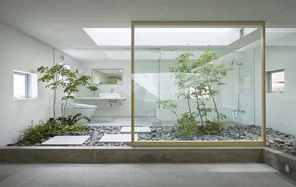 contemporary indoor garden with glass