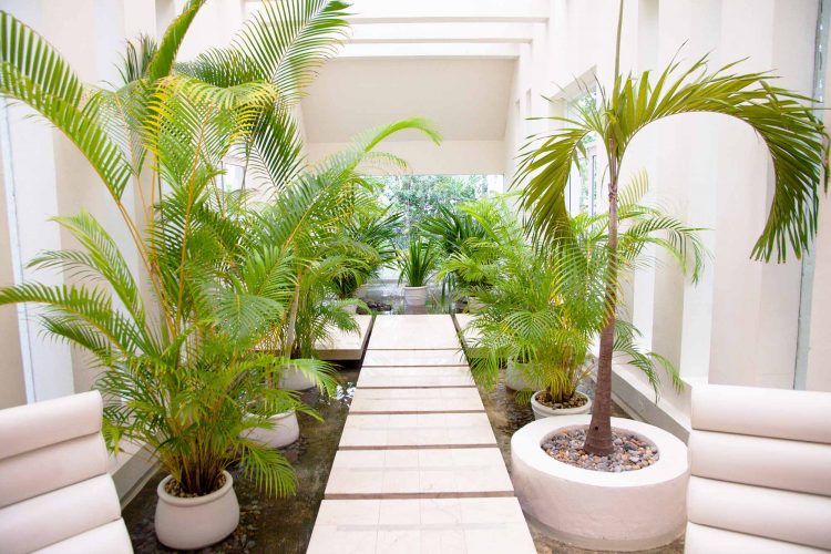 bright indoor garden ideas