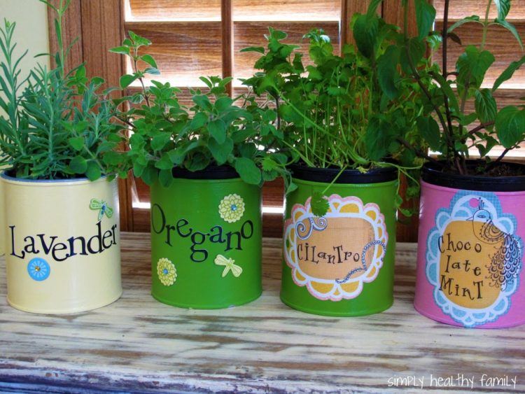 indoor garden in buckets