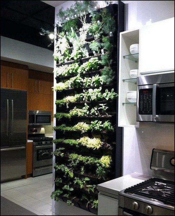 indoor herb garden