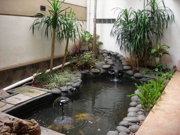 indoor garden with pond