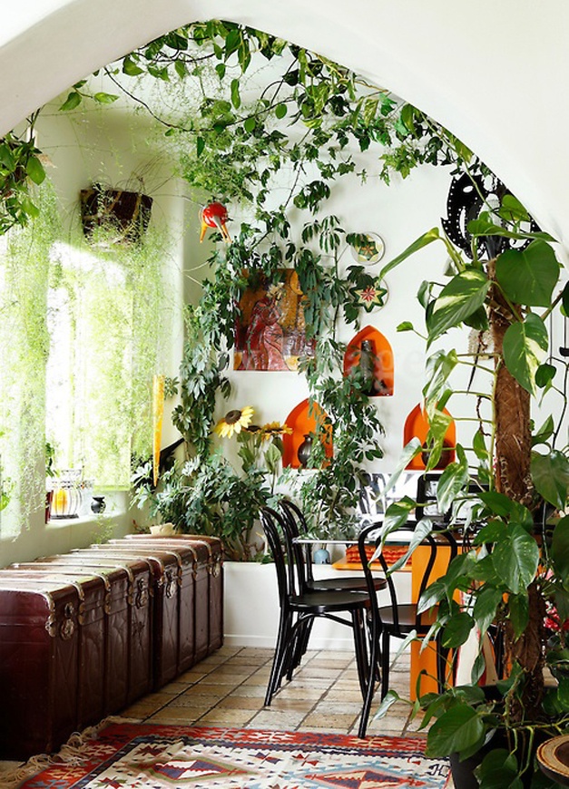 interior decorating ideas with plants