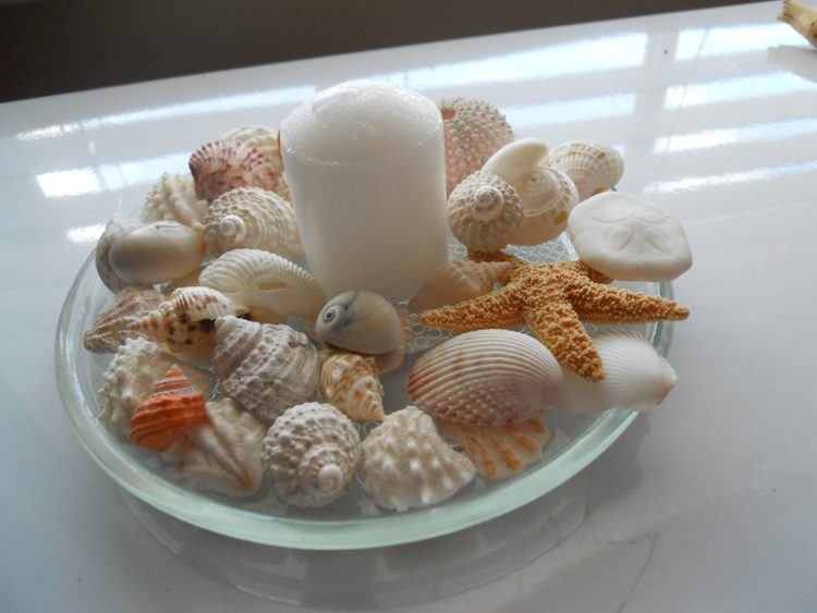 summer seashell centerpiece