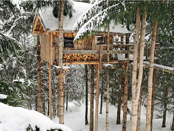 cabin-like house on stilts