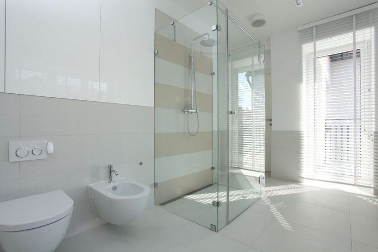 simple bathroom with basic glass shower