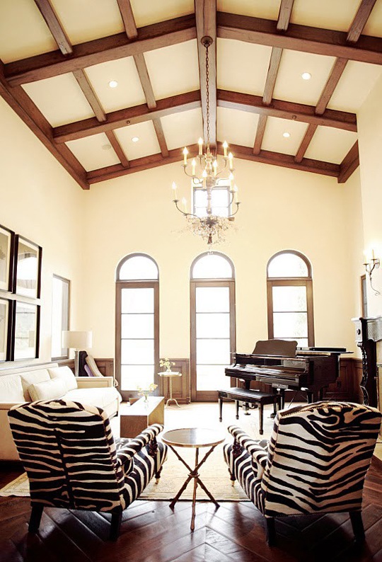 20 Living Spaces With Zebra Print Accents