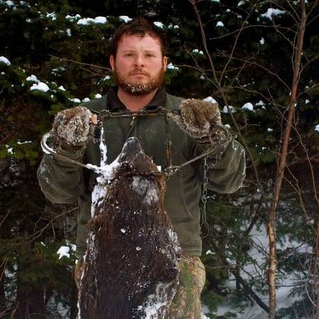 Beaver Trapping