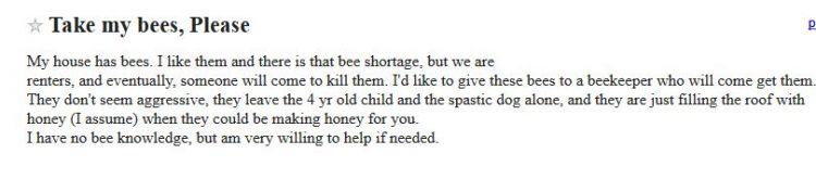 Bees