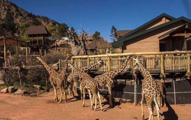 Cheyenne Mountain Zoo