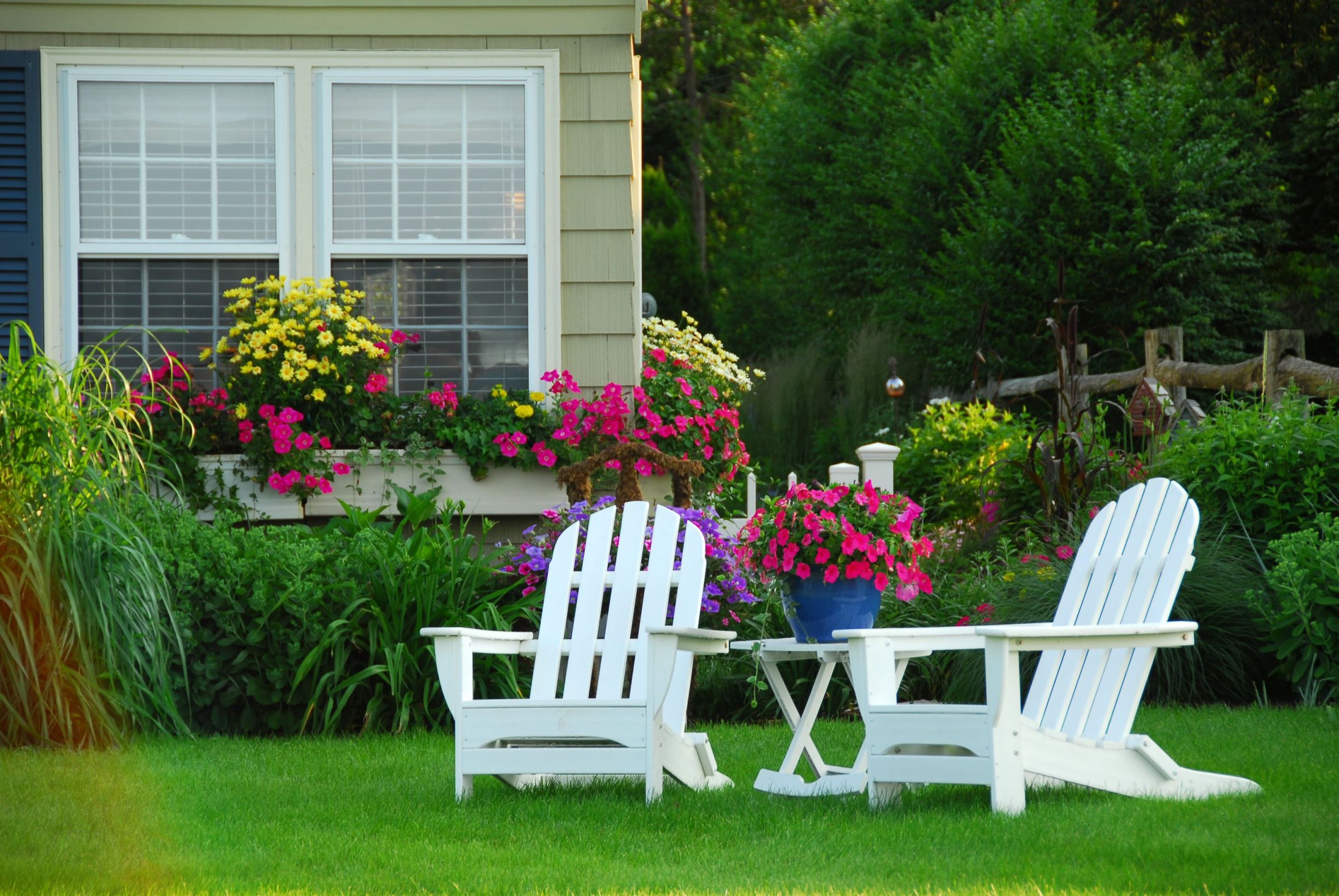 10 Types of Flowers For the Best Curb Appeal