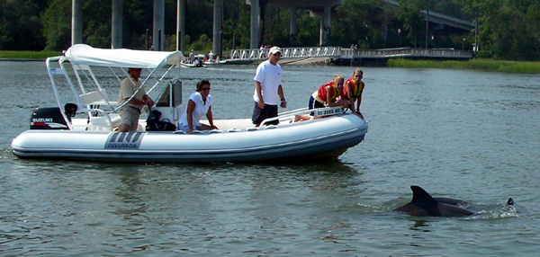 Hilton Head Dolphins