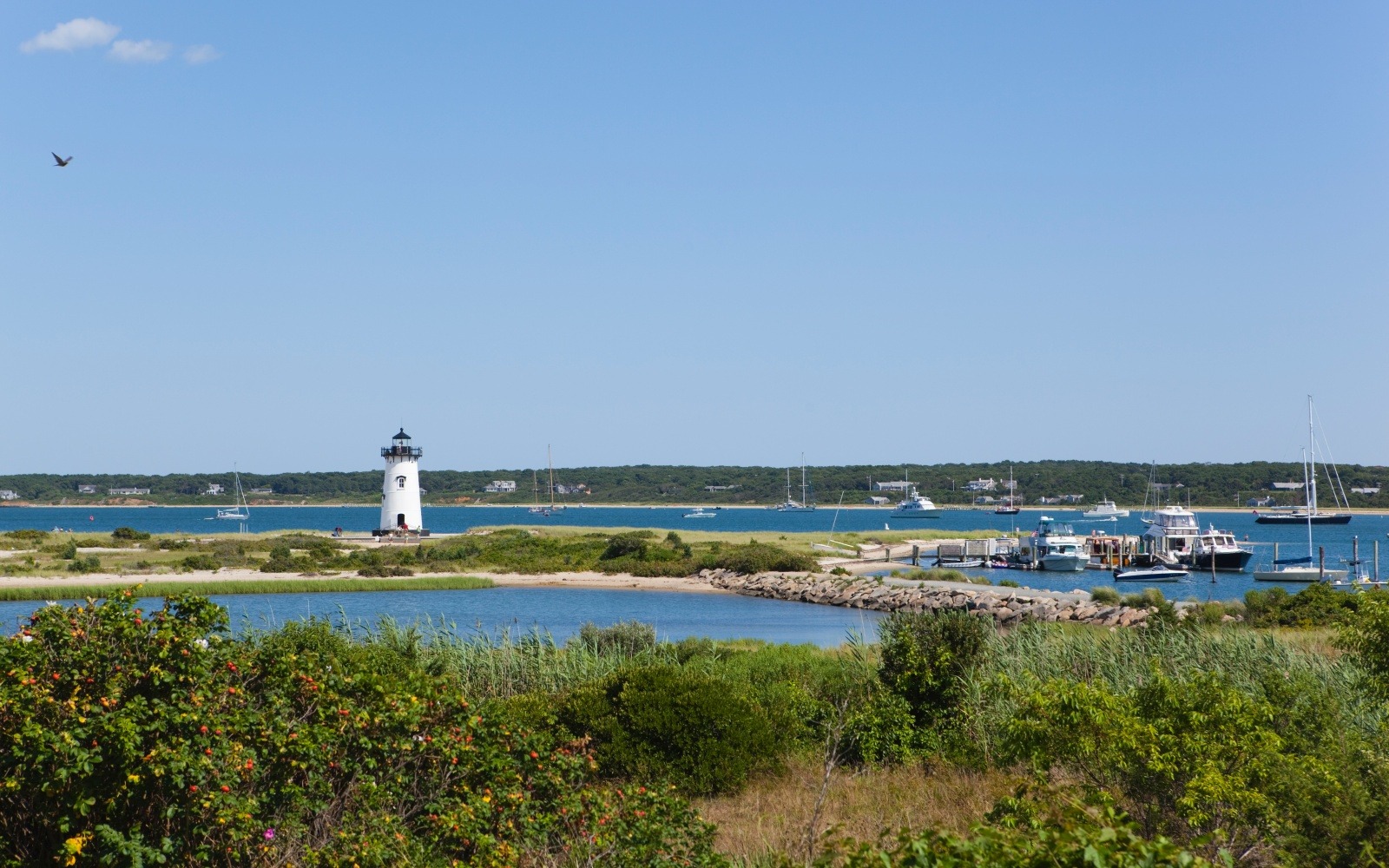 Martha's Vineyard 20 Things You Didn't Know