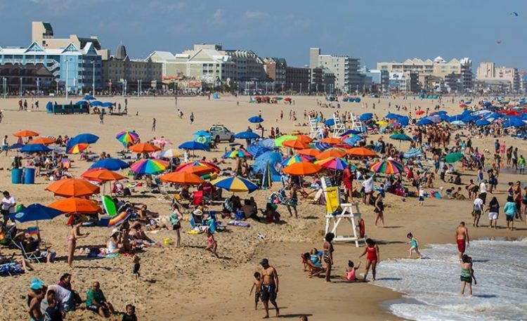 Ocean City Summer