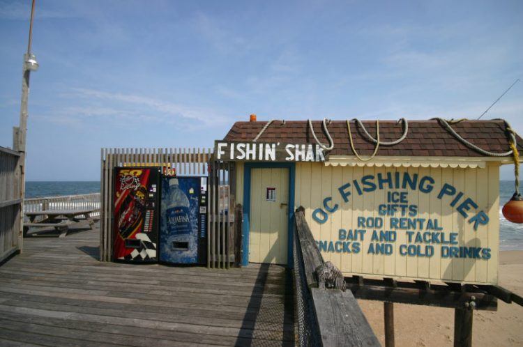 Ocean City fishing