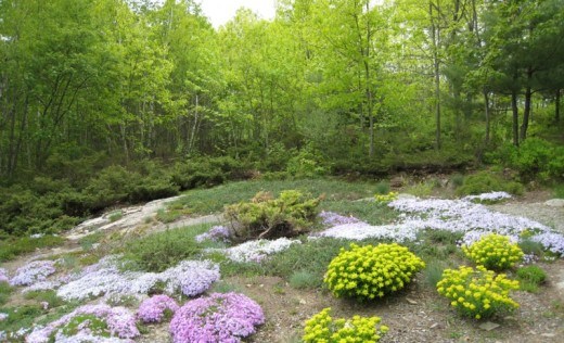 Pine Tree State Arboretum