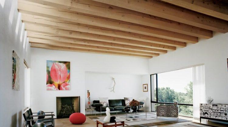 rustic modern living room with wooden ceiling