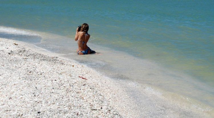 Sanibel Island Beach Shells