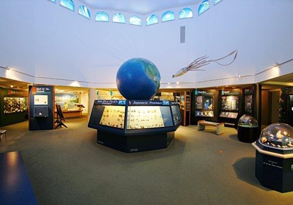 Sanibel Island Shell Museum