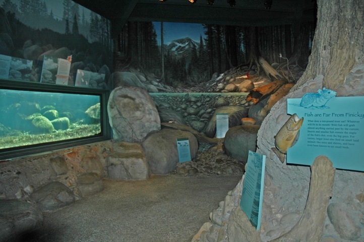 Taylor Creek Visitor Center