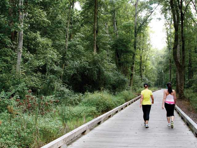 The Big Creek Greenway