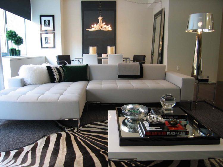 living room with zebra rug