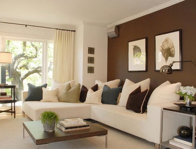 white living room with brown accent wall