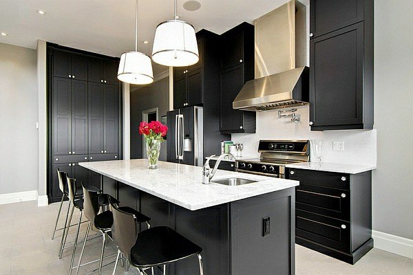 contemporary minimalist kitchen with black cabinets