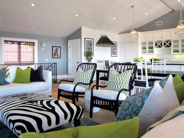 living room with zebra accent