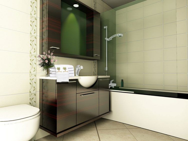 Small Bathroom Design Ideas